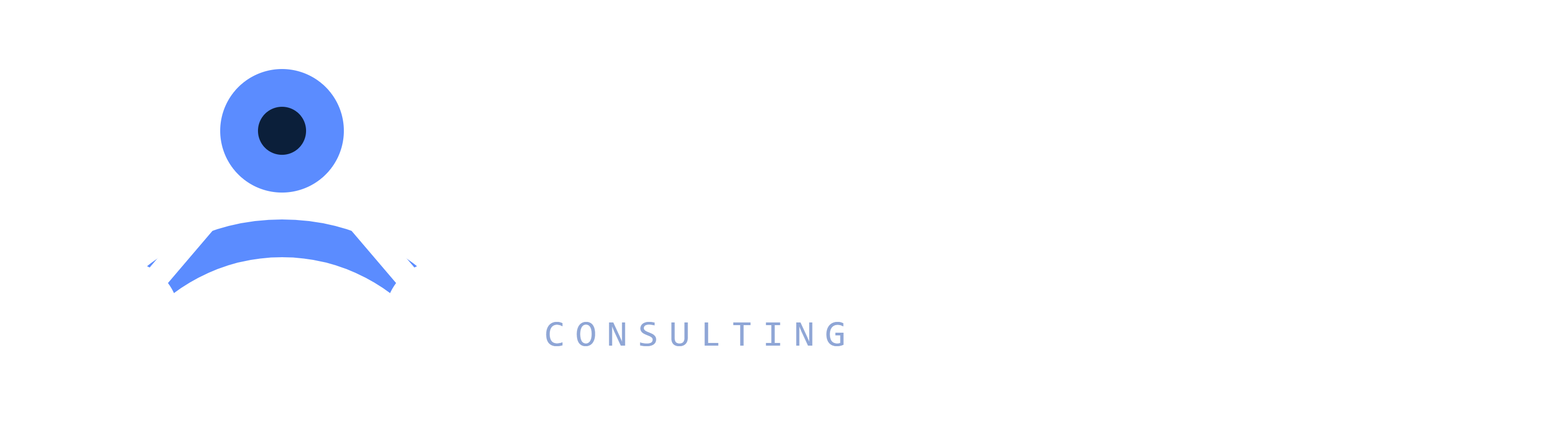 Arcanet Consulting
